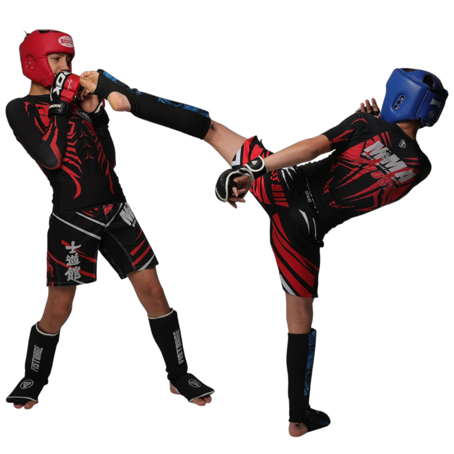 mma техніка 2
